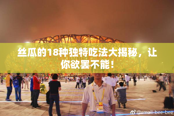 丝瓜的18种独特吃法大揭秘，让你欲罢不能！