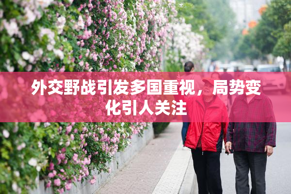 外交野战引发多国重视，局势变化引人关注