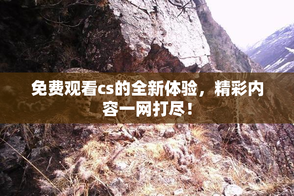 免费观看cs的全新体验，精彩内容一网打尽！