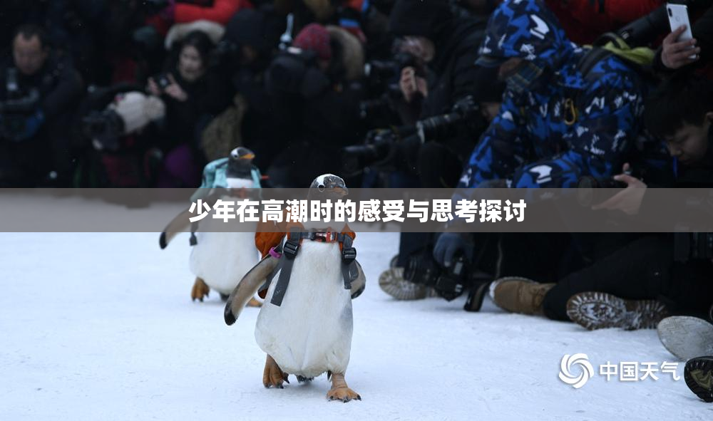 少年在高潮时的感受与思考探讨