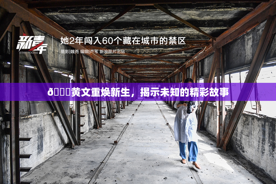 🔞黄文重焕新生，揭示未知的精彩故事