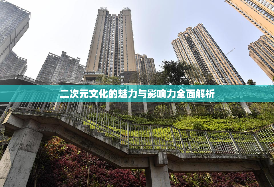 二次元文化的魅力与影响力全面解析