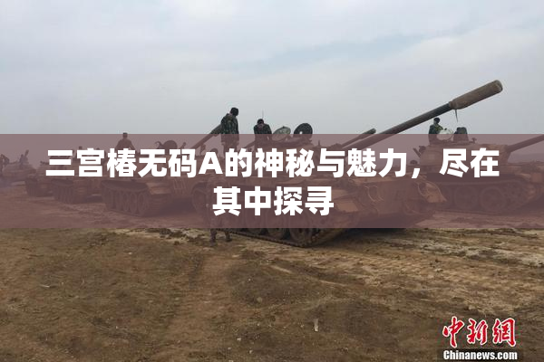 三宫椿无码A的神秘与魅力，尽在其中探寻