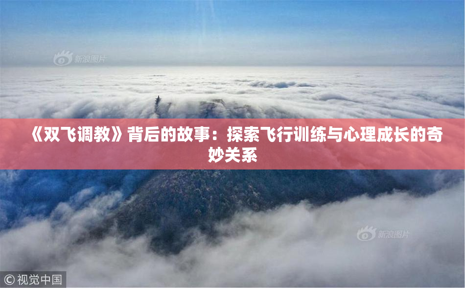 《双飞调教》背后的故事：探索飞行训练与心理成长的奇妙关系