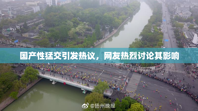 国产性猛交引发热议，网友热烈讨论其影响