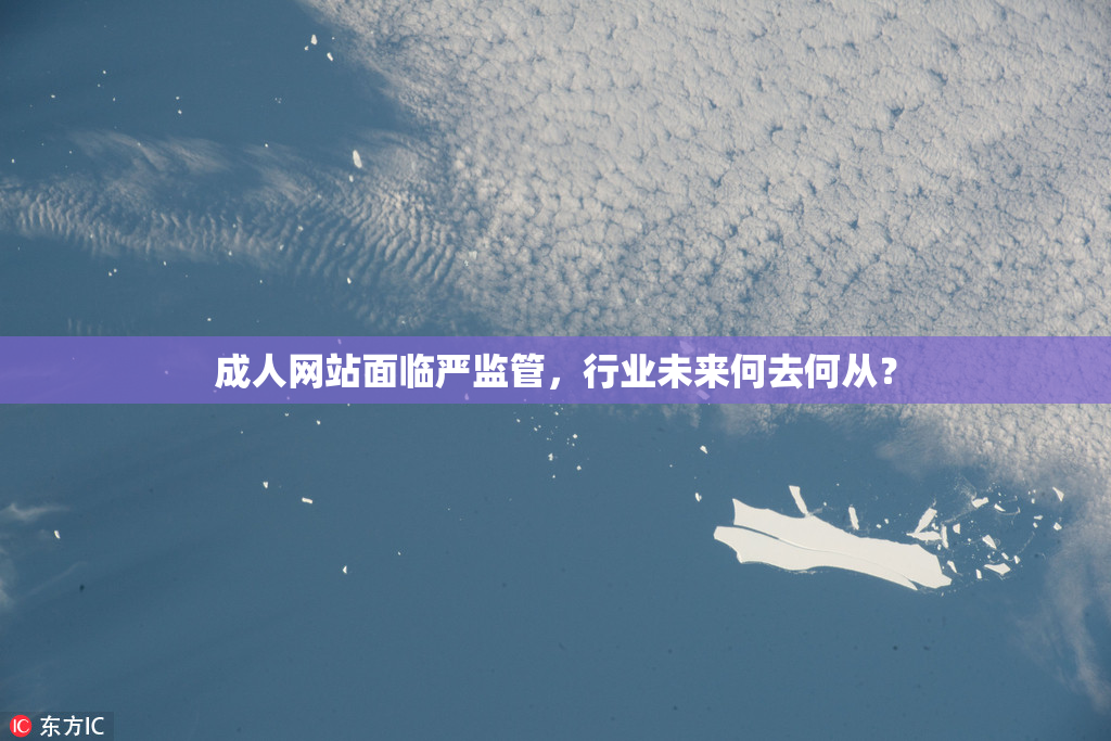 成人网站面临严监管，行业未来何去何从？