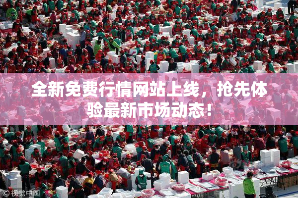 全新免费行情网站上线，抢先体验最新市场动态！