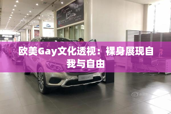 欧美Gay文化透视：裸身展现自我与自由