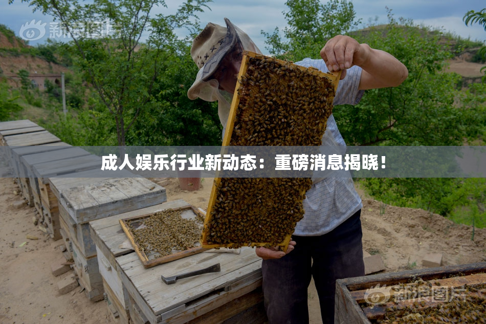 成人娱乐行业新动态：重磅消息揭晓！