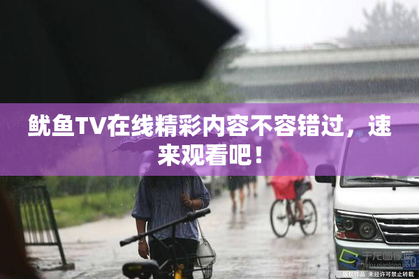 鱿鱼TV在线精彩内容不容错过，速来观看吧！