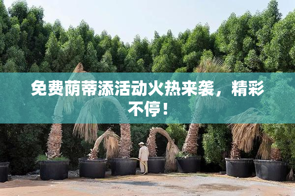 免费荫蒂添活动火热来袭，精彩不停！