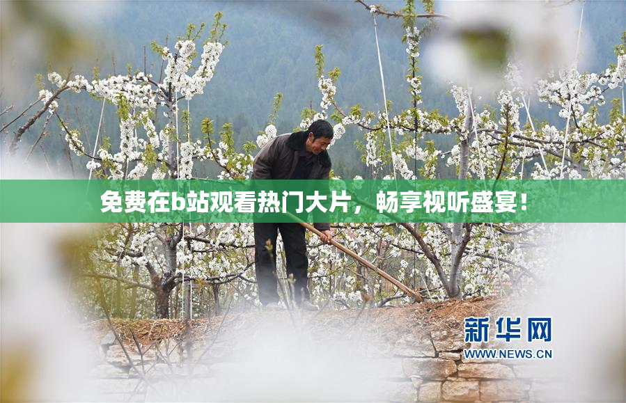 免费在b站观看热门大片，畅享视听盛宴！