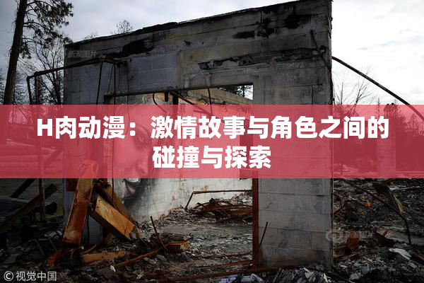 H肉动漫：激情故事与角色之间的碰撞与探索