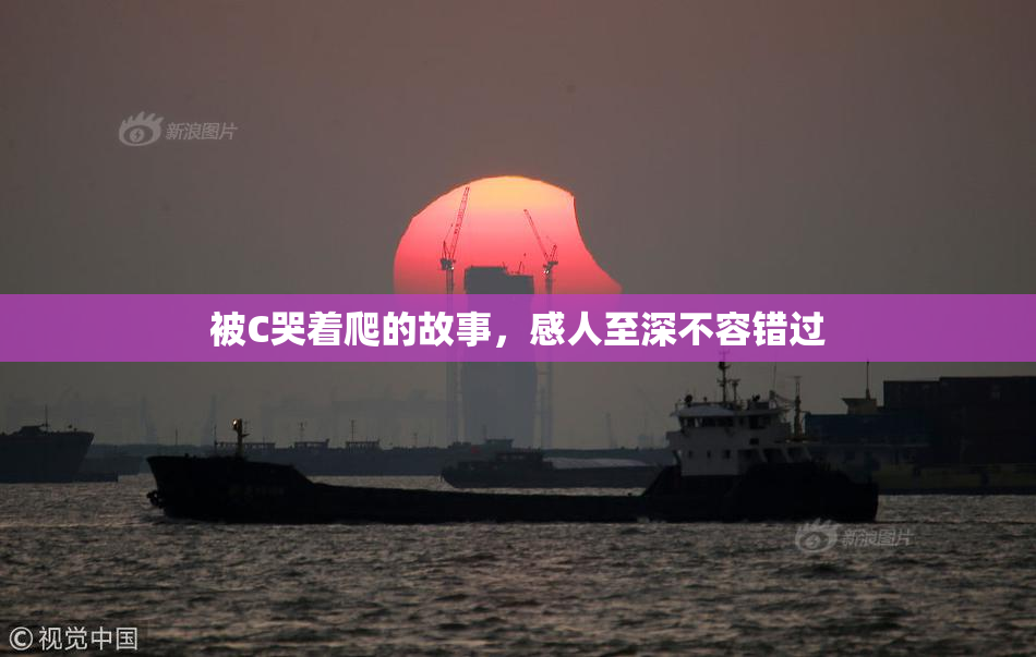 被C哭着爬的故事，感人至深不容错过
