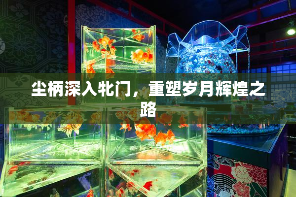 尘柄深入牝门，重塑岁月辉煌之路