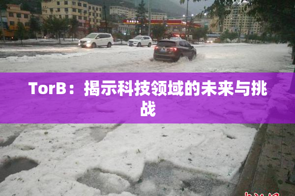 TorB：揭示科技领域的未来与挑战