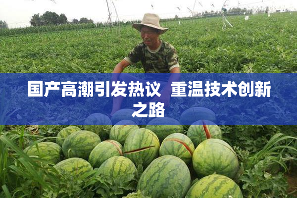 国产高潮引发热议  重温技术创新之路
