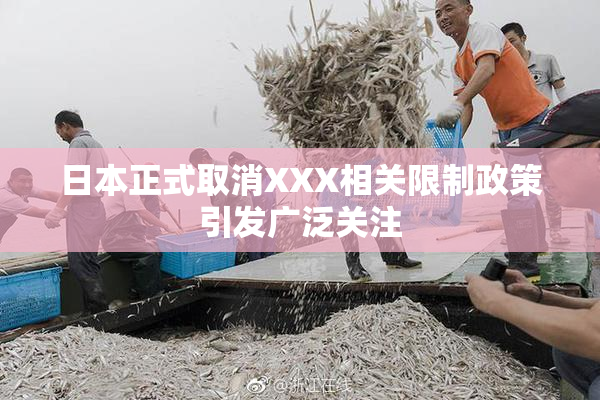 日本正式取消XXX相关限制政策引发广泛关注
