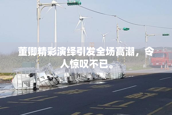 董卿精彩演绎引发全场高潮，令人惊叹不已。
