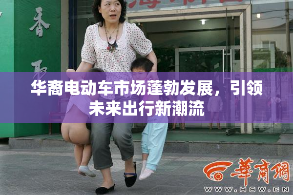 华裔电动车市场蓬勃发展，引领未来出行新潮流