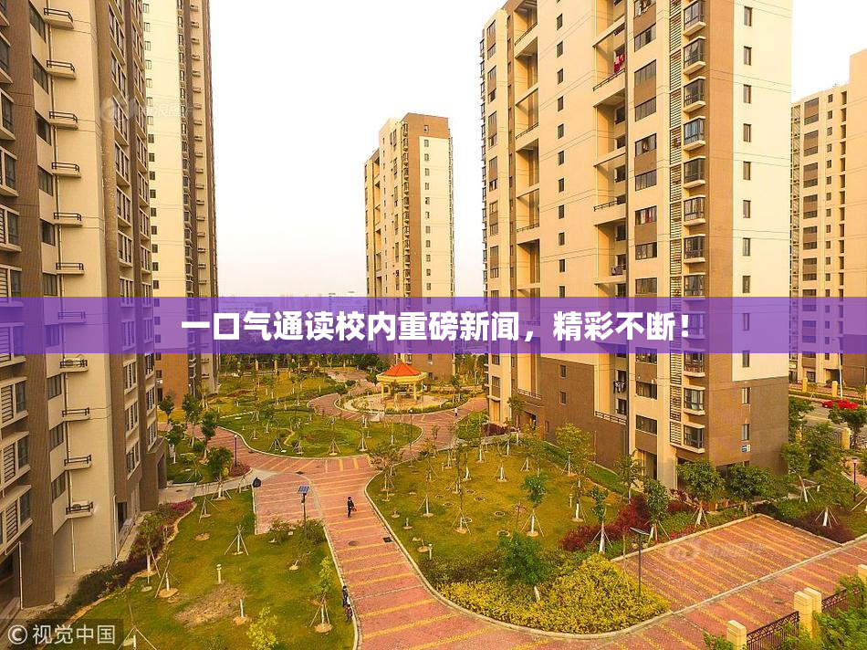 一口气通读校内重磅新闻，精彩不断！
