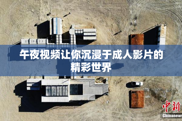 午夜视频让你沉浸于成人影片的精彩世界