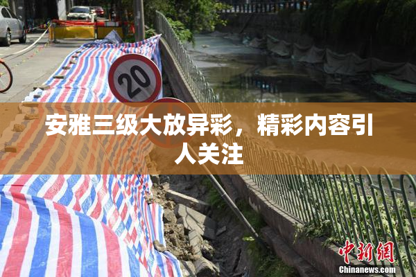 安雅三级大放异彩，精彩内容引人关注