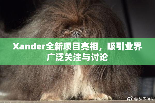 Xander全新项目亮相，吸引业界广泛关注与讨论