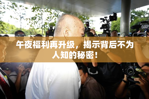 午夜福利再升级，揭示背后不为人知的秘密！