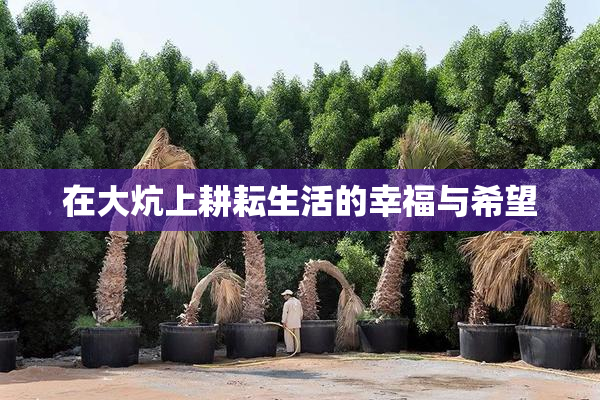 在大炕上耕耘生活的幸福与希望