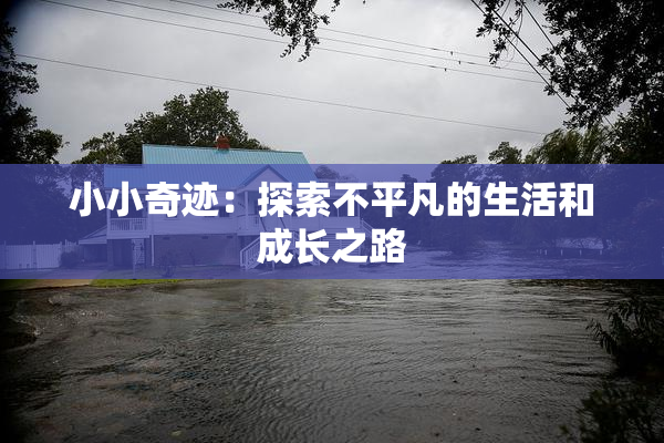 小小奇迹：探索不平凡的生活和成长之路