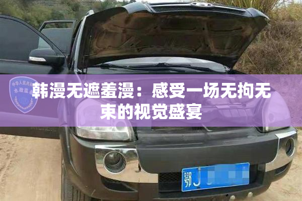 韩漫无遮羞漫：感受一场无拘无束的视觉盛宴