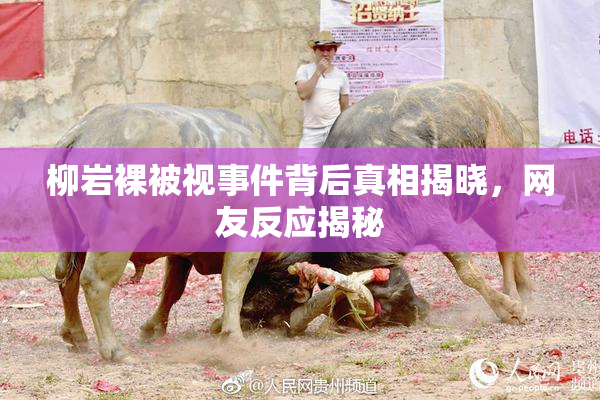 柳岩裸被视事件背后真相揭晓，网友反应揭秘