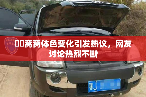 妺妺窝窝体色变化引发热议，网友讨论热烈不断