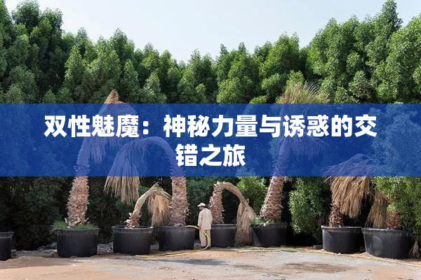 双性魅魔：神秘力量与诱惑的交错之旅