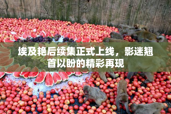 埃及艳后续集正式上线，影迷翘首以盼的精彩再现