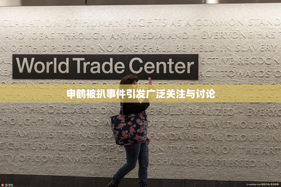 申鹤被扒事件引发广泛关注与讨论