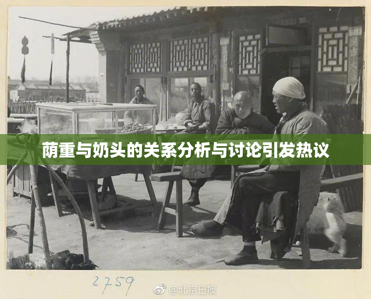 荫重与奶头的关系分析与讨论引发热议