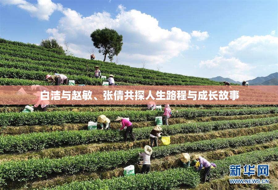 白洁与赵敏、张倩共探人生路程与成长故事