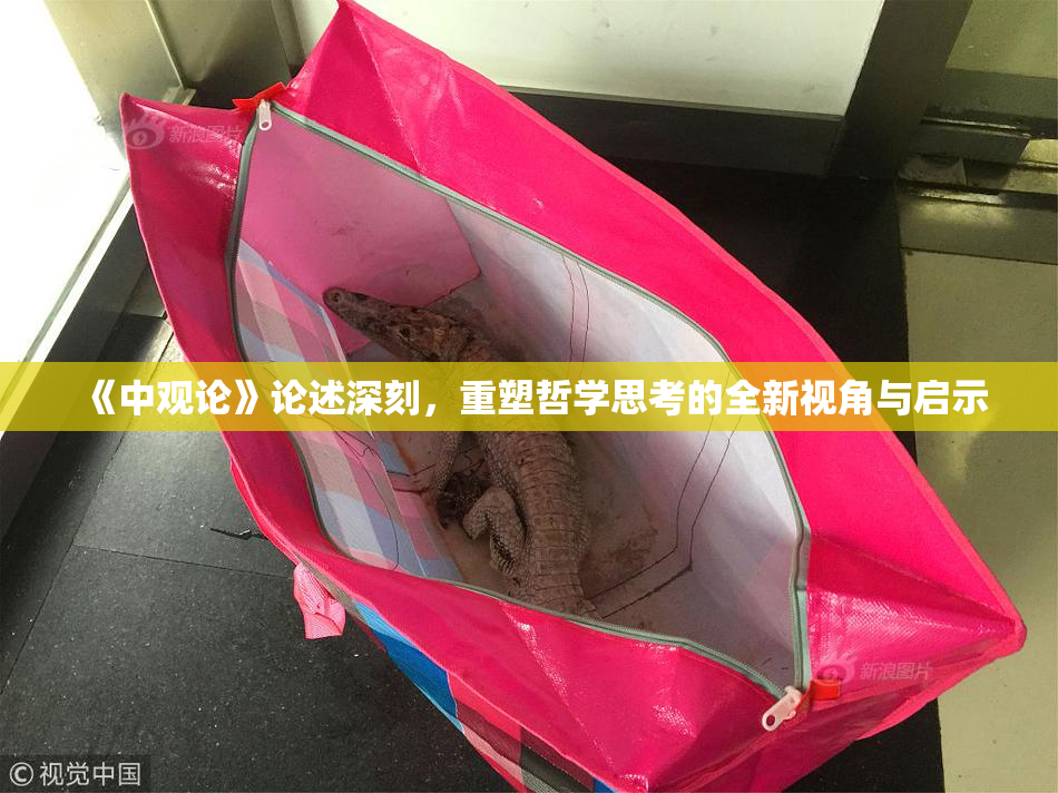 《中观论》论述深刻，重塑哲学思考的全新视角与启示