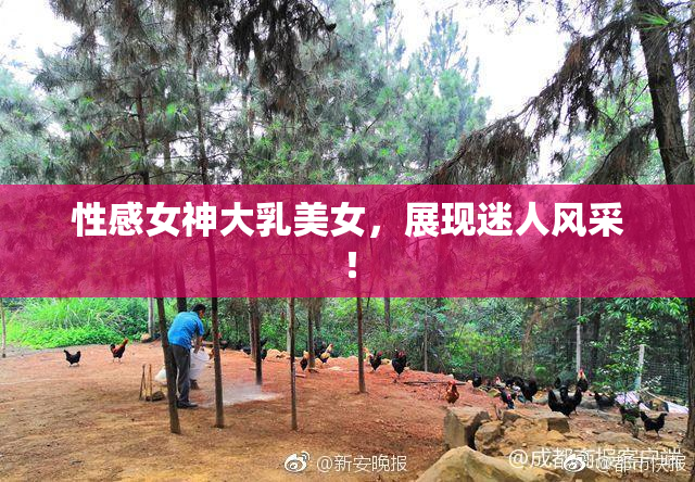 性感女神大乳美女，展现迷人风采！