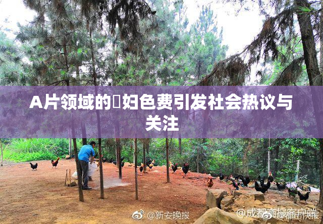 A片领域的婬妇色费引发社会热议与关注