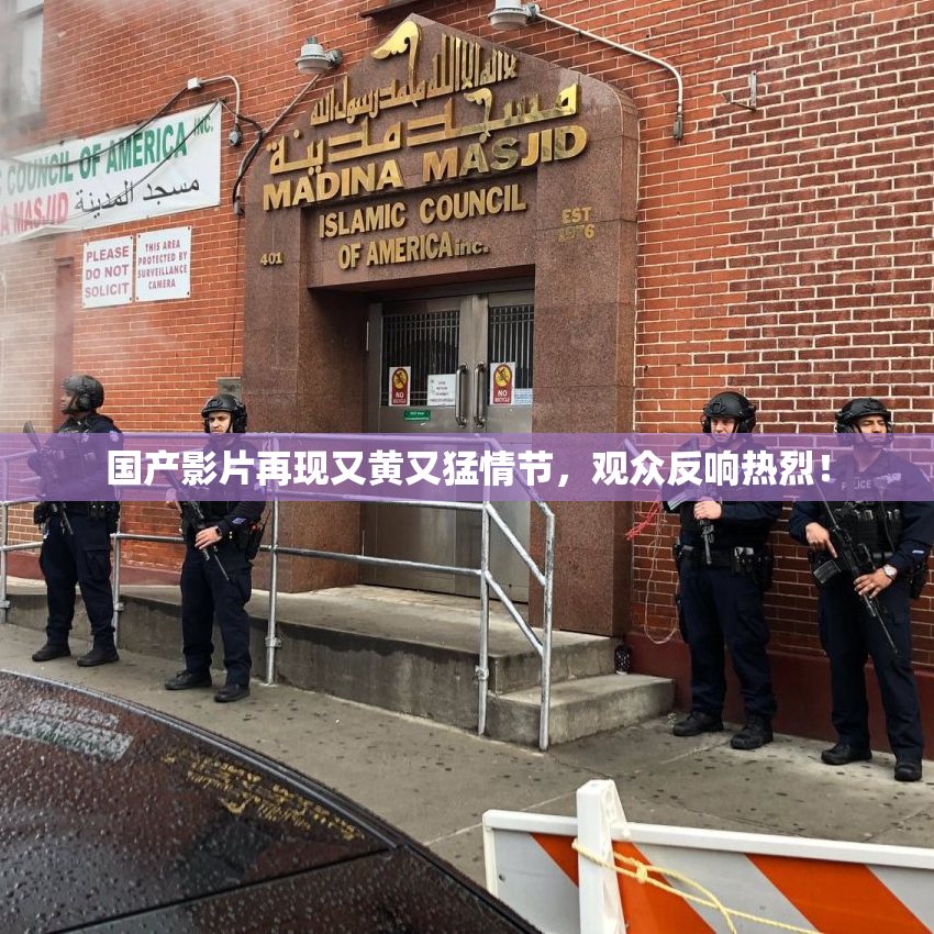 国产影片再现又黄又猛情节，观众反响热烈！