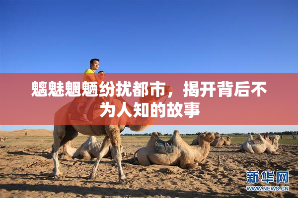 魑魅魍魉纷扰都市，揭开背后不为人知的故事