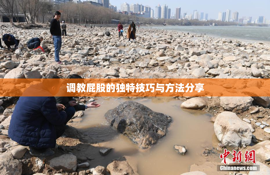调教屁股的独特技巧与方法分享