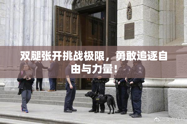 双腿张开挑战极限，勇敢追逐自由与力量！