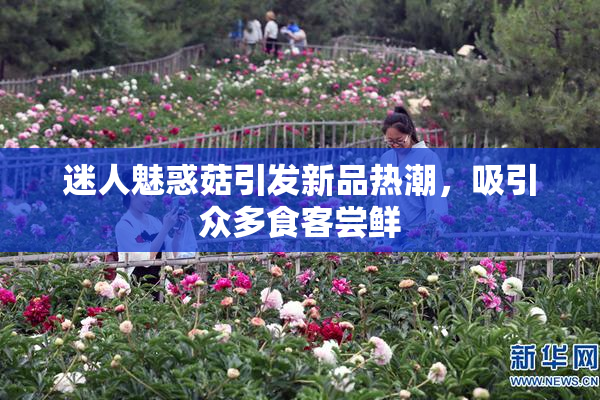 迷人魅惑菇引发新品热潮，吸引众多食客尝鲜