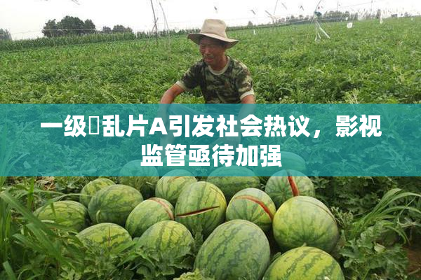 一级婬乱片A引发社会热议，影视监管亟待加强