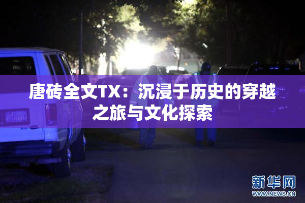 唐砖全文TX：沉浸于历史的穿越之旅与文化探索