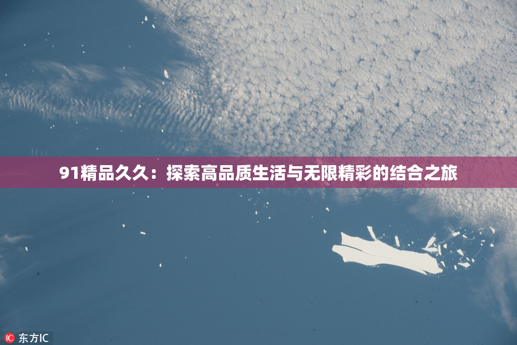 91精品久久：探索高品质生活与无限精彩的结合之旅